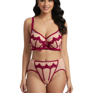 Lace Mesh Bra High-Waist Panty Set Elegant