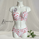 Stylish Bra & Panty Set for Women Everyday Lingerie